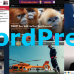 WordPress