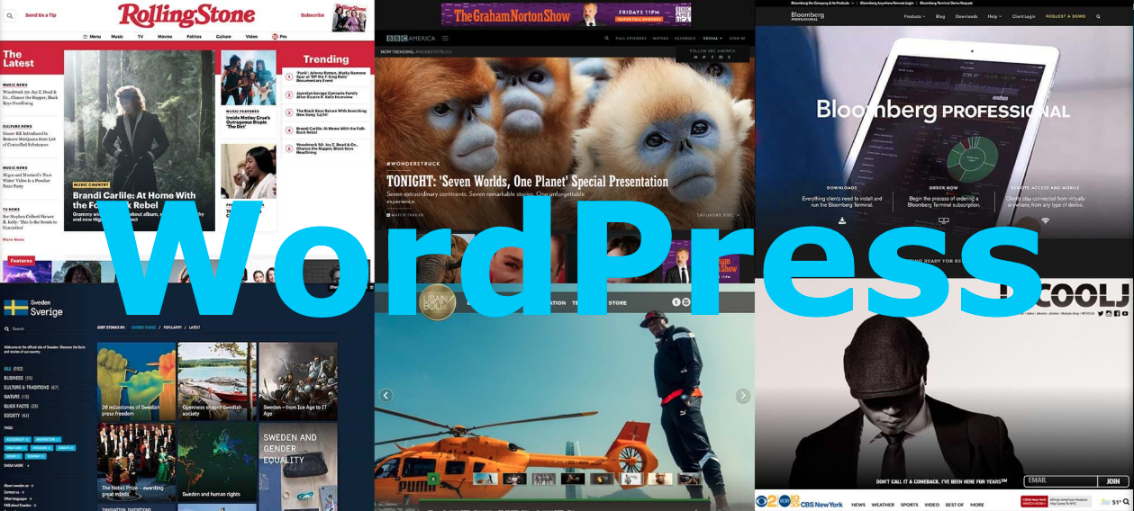 WordPress